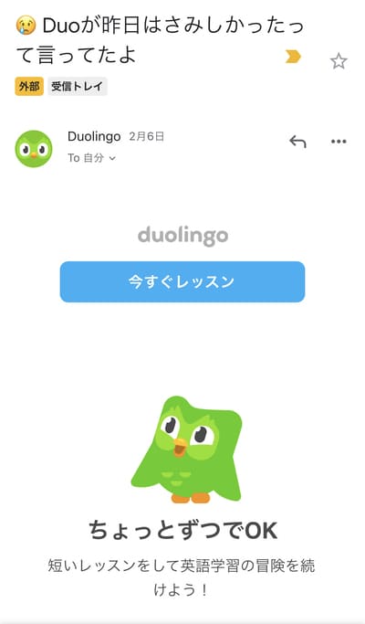 duolingo-alert